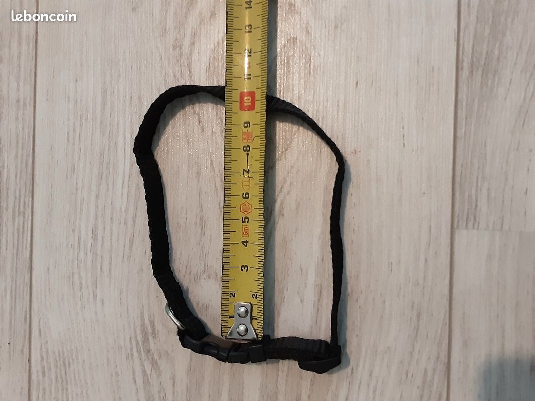 Collier noir chat ou petit chien (image 4)