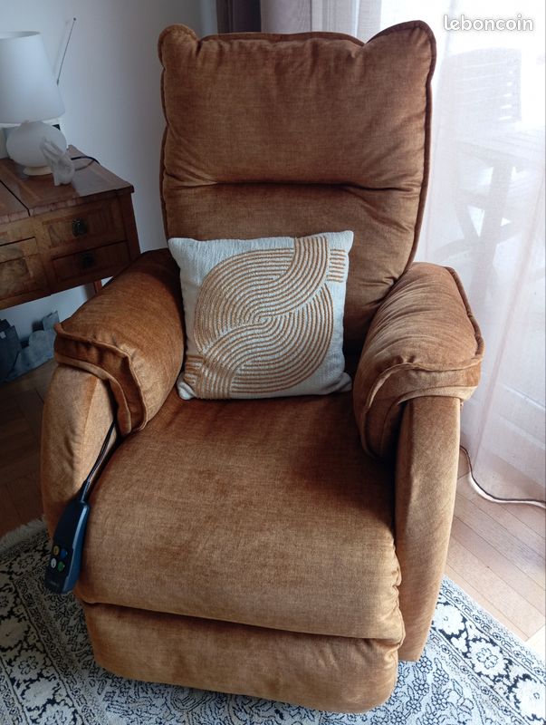 Magnifique fauteuil relax (image 1)