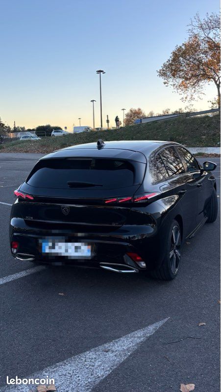 308 gt (image 2)