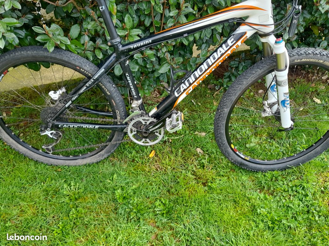 VTT Canondale (image 3)