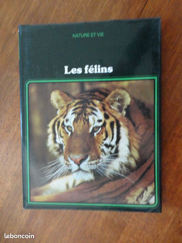 Les felins (image 1)