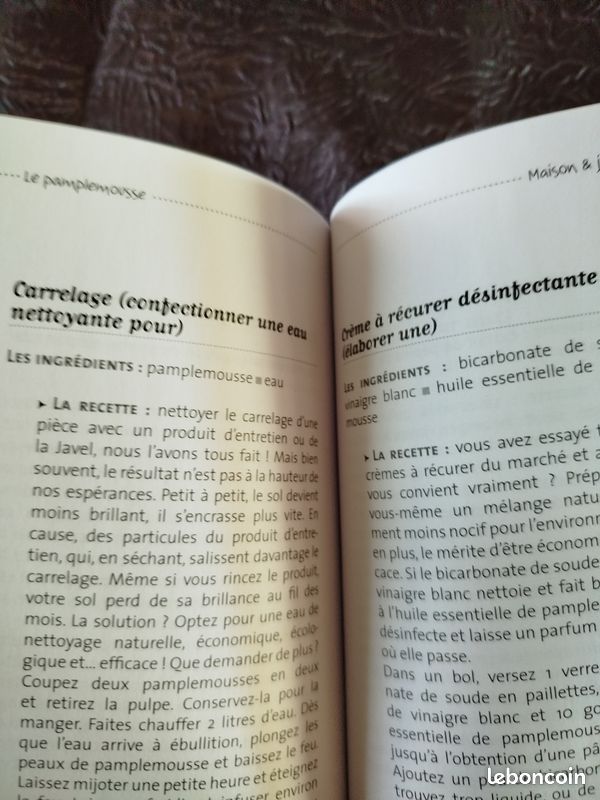 Le pamplemousse (image 3)