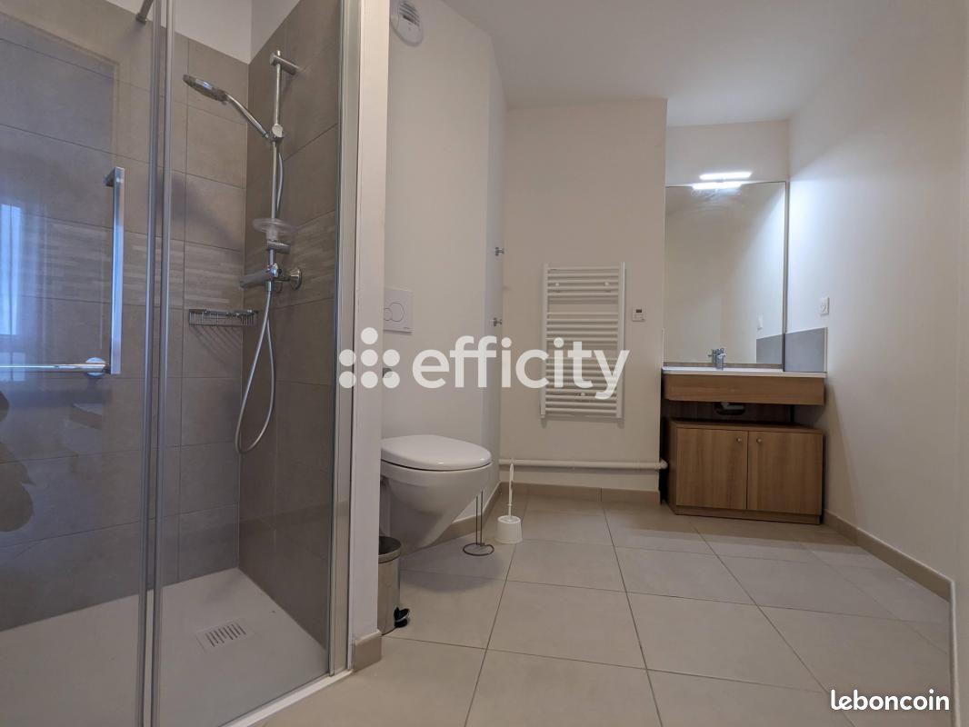 Appartement 1 pièce 44 m² - Limoges 87000 (image principale 3)