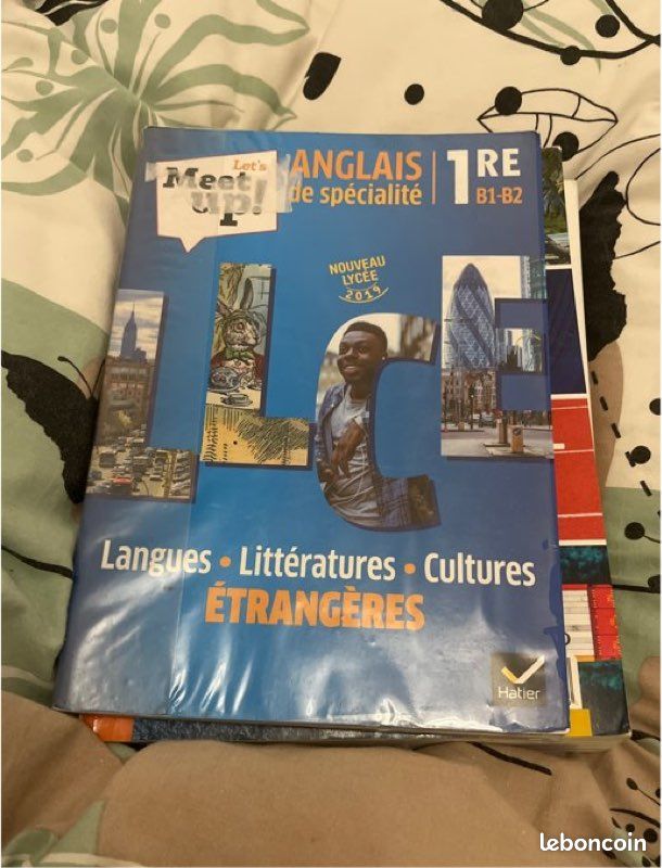 Manuel Spécialité LLCER Anglais 1ère Générale (image 2)