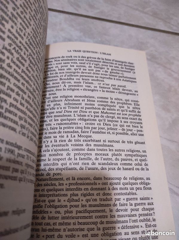 Livre "lettre au président à propos de l'immigration" Thierry Desjardins (image 3)