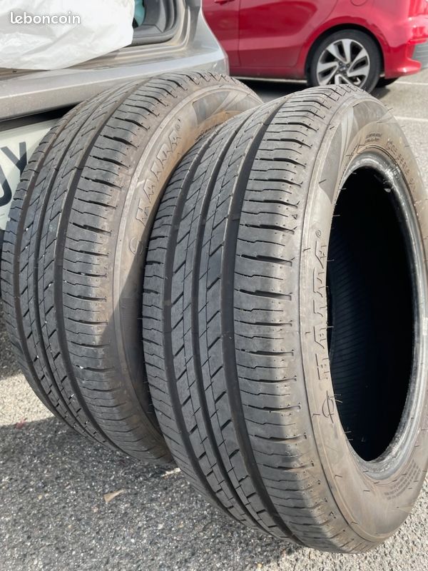 2 pneus MINERVA 205/55/16 Équipement auto