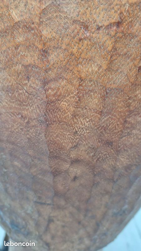 Djembe africain (image 3)