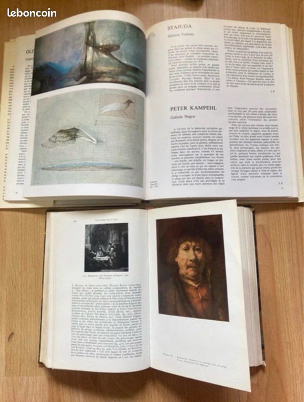 Lot de deux livres anciens (image 5)