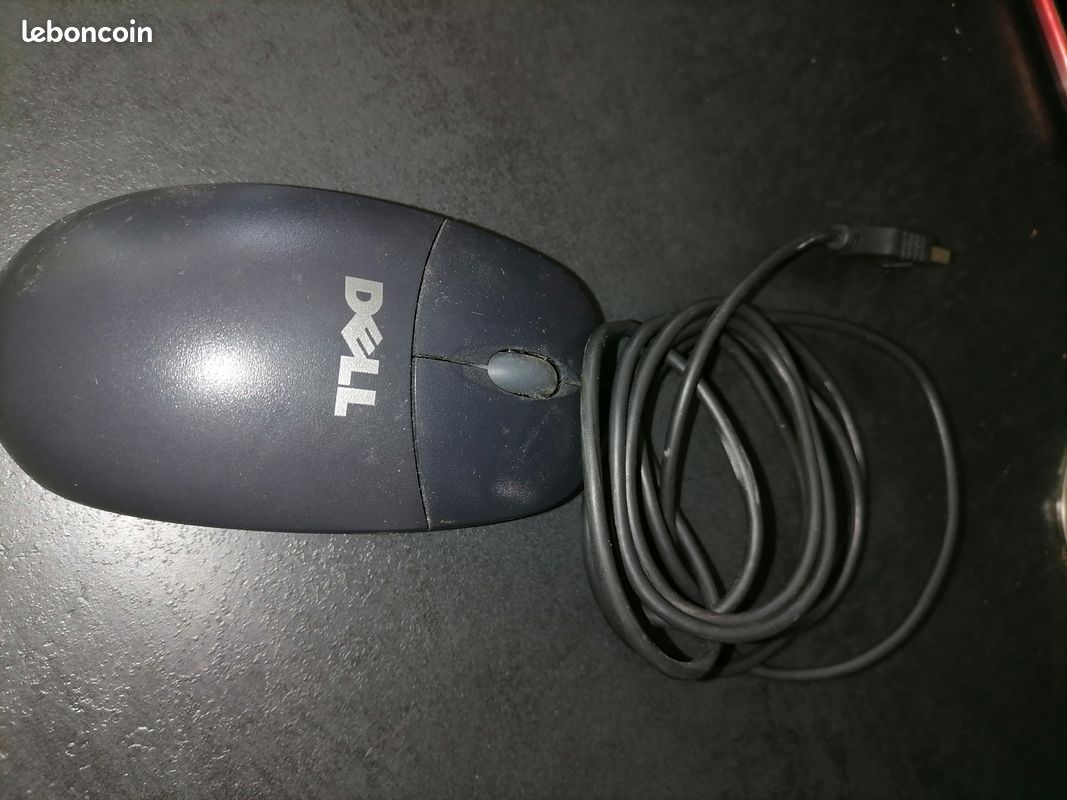 Souris Dell (image 1)