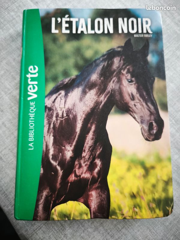 L'étalon noir (image 1)
