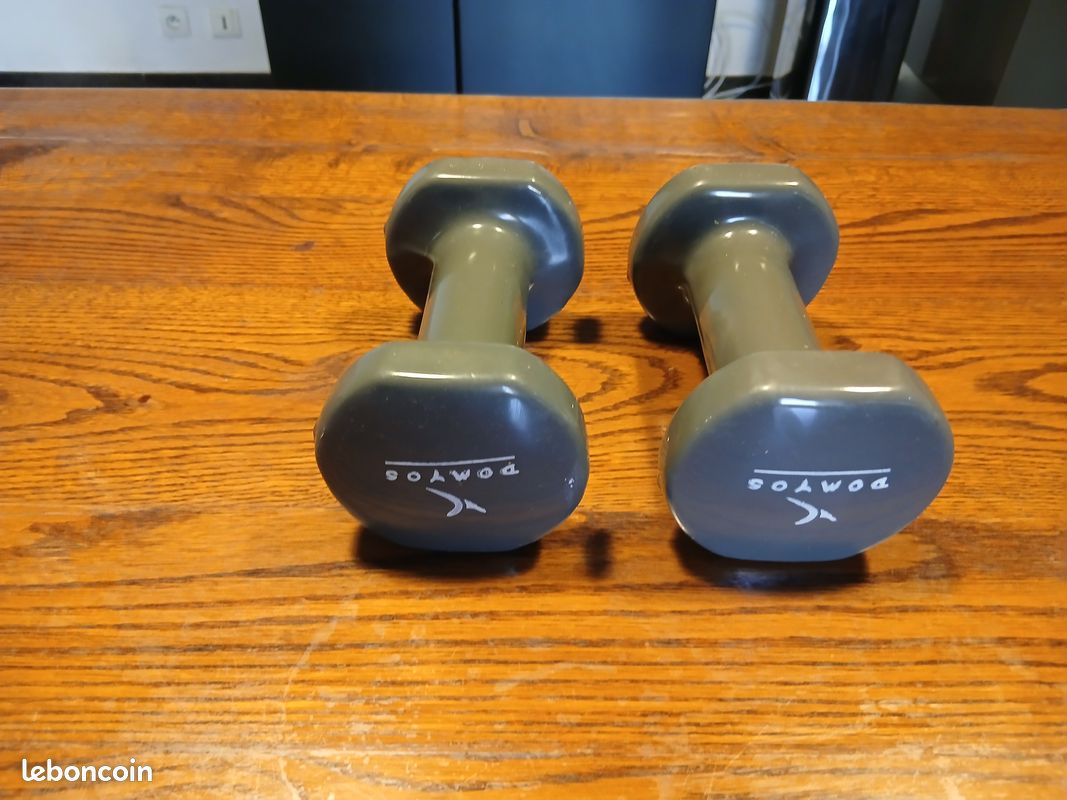 Altères Domyos 2kg Sport Plein air