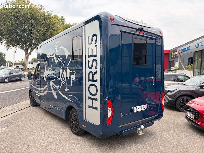 Renault master horsebox stx boite manuelle 2 chevaux (image 3)