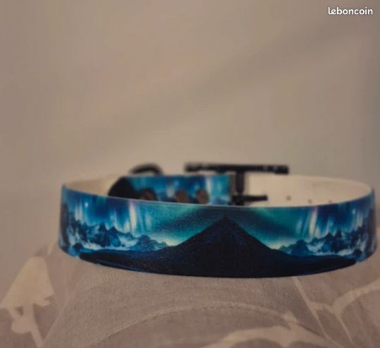 Collier de chien en biothane (image 2)