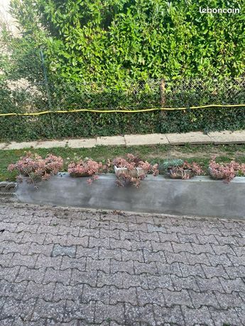 Jardinière Effet Pierre Arsenal FC - Produit Officiel Rare Et épuisé - Neuf Jamais Utilisé