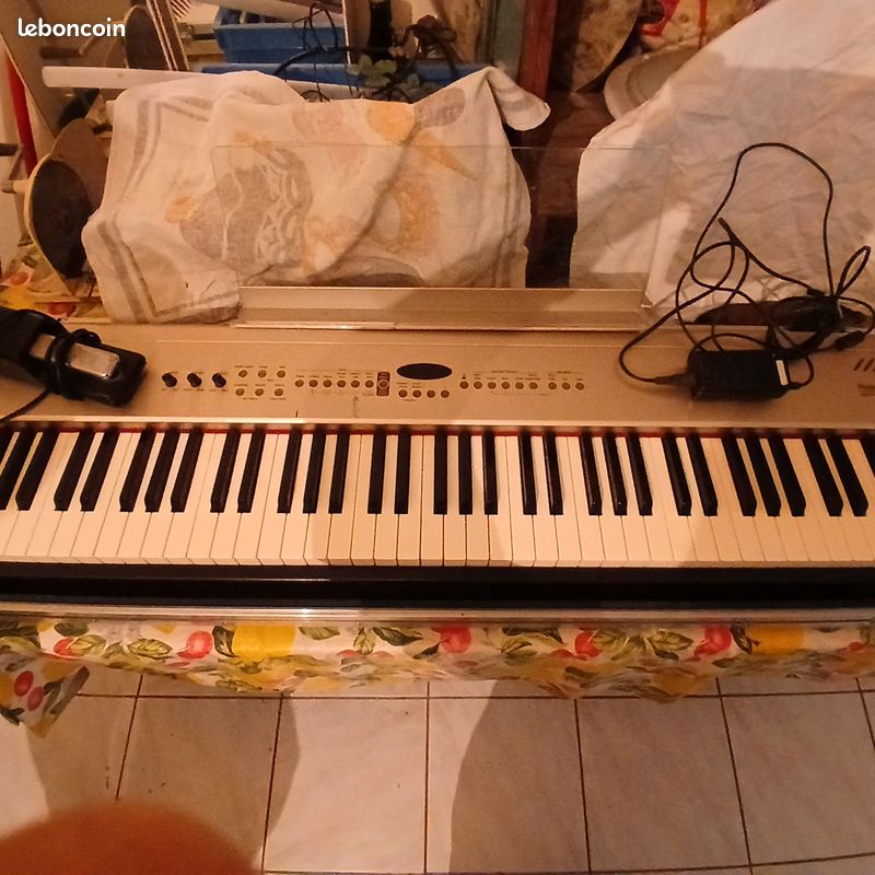 Vends piano numerique Roland avec fly case (image 1)