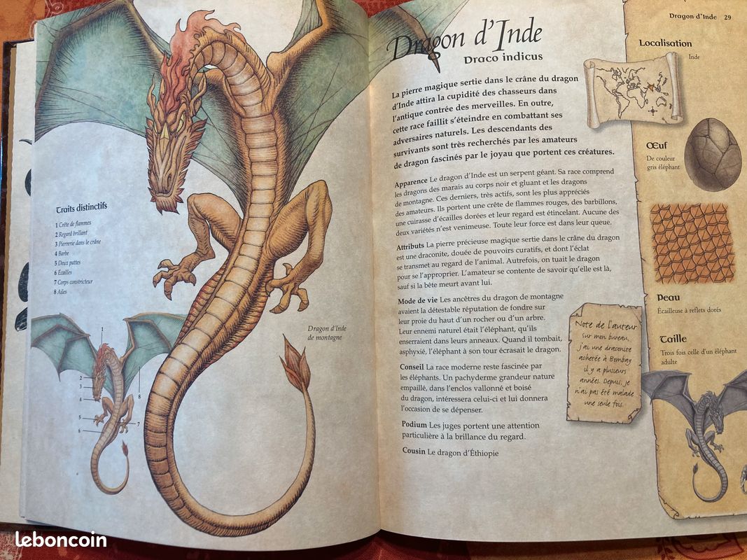 Livre sur les dragons (image 6)