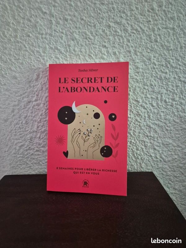 Le secret de l'abondance Tosha Silver (image 1)