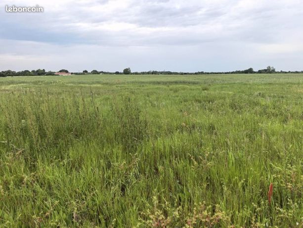 Terrain 790 m² La Remuee
