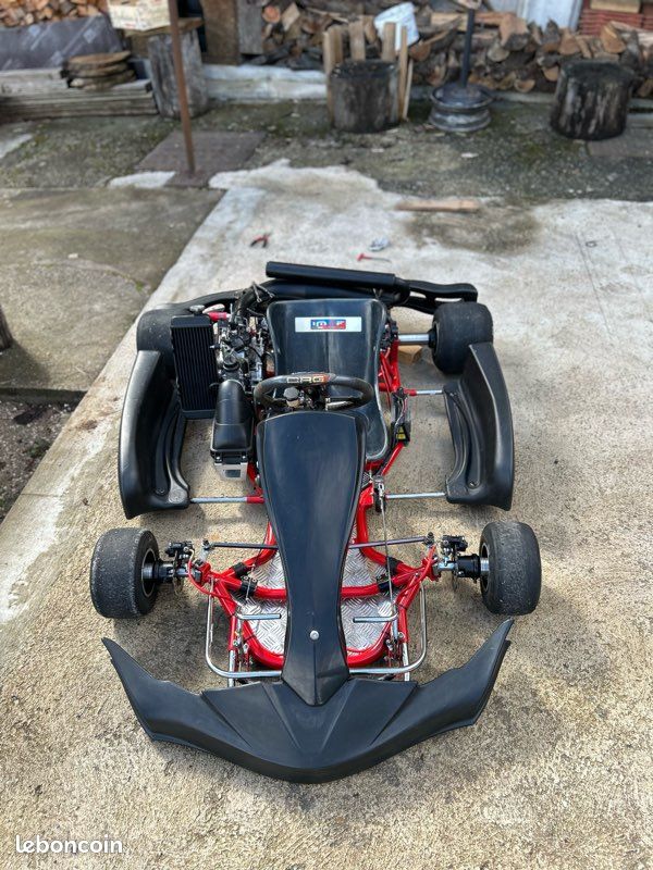 Karting rotax Max 125 (image 5)