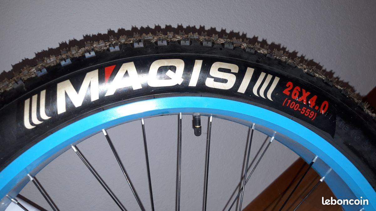 Fatbike Mountainbike (image 2)