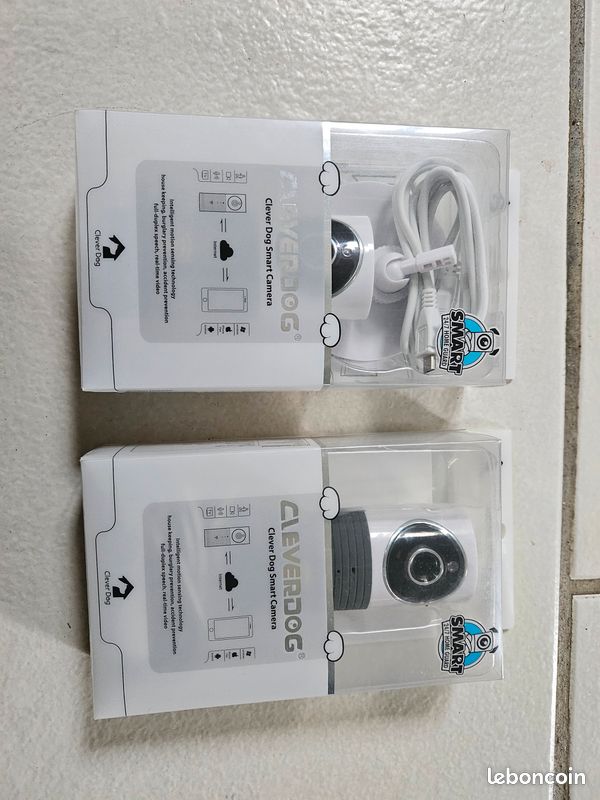 Cameras "Clever Dog" (image 1)