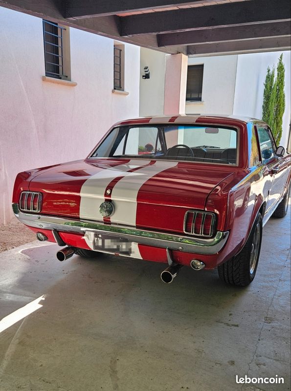 Mustang (image 2)