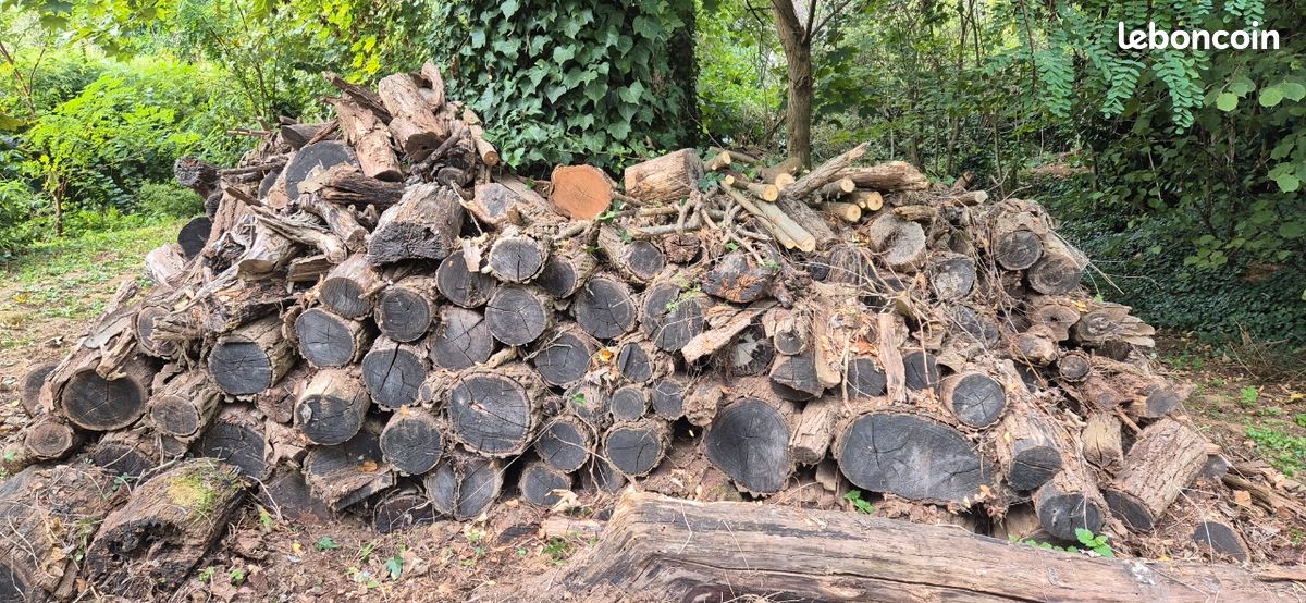 Bois chauffage (image 1)