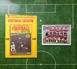 15 Vignettes Âgeducatif 1975/76 – Équipe Lyon – RARE – Non Panini – En Bon État