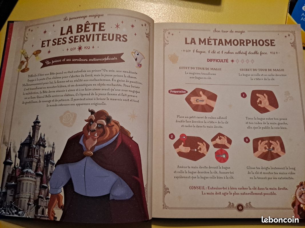 Le grimoire de magie DISNEY (image 4)