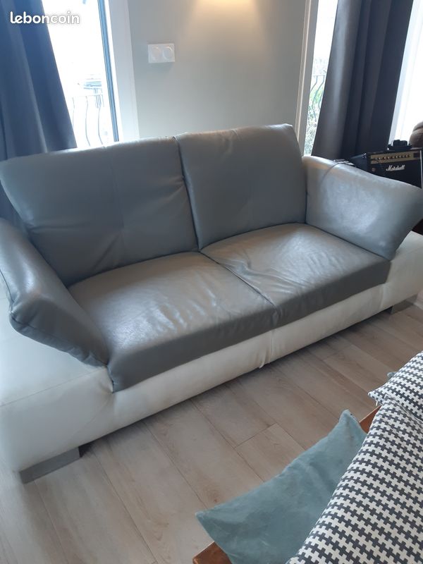 Canapé cuir (image 2)