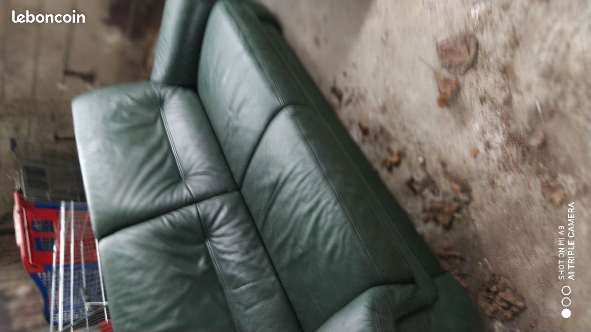 Fauteuil en cuir (image 2)