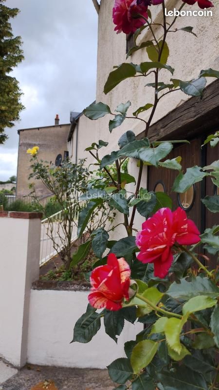 Maison 3 pièces 90 m² · à Amboise · 90 m² · 240 000 €