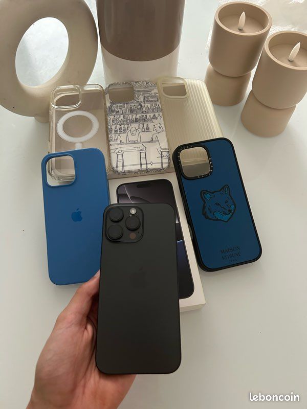 IPhone 16 Pro Max 256 Go Noir - État Neuf + 5 Coques (dont Maison Kitsuné x Casetify) – Sous Garantie (image 4)