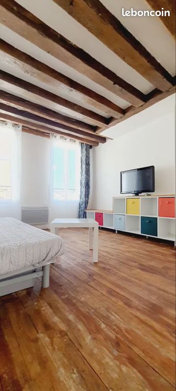 Studio plein de charme au Bord de Marne (image 3)