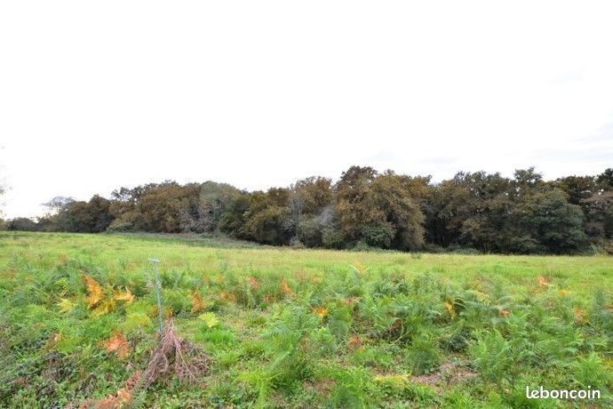 Terrain 4 440 m² Momuy