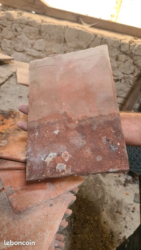 Tuile plate pour rénovation (image 3)