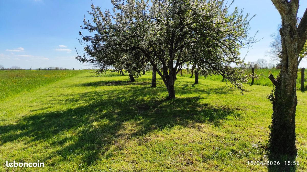 Terrain 1127 m² · à Sainte-Menehould · 1 127 m² · 13 000 €