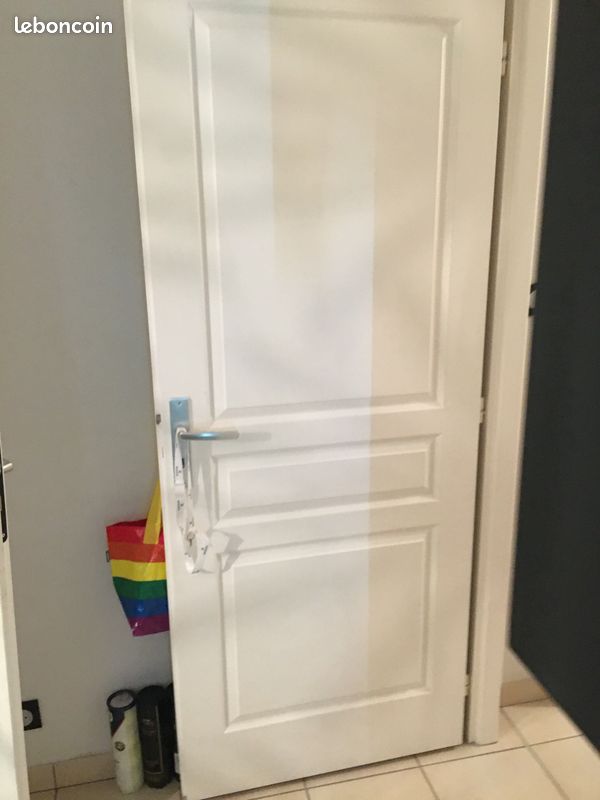 Porte Acoustique postformée 204 X 83 (image 1)