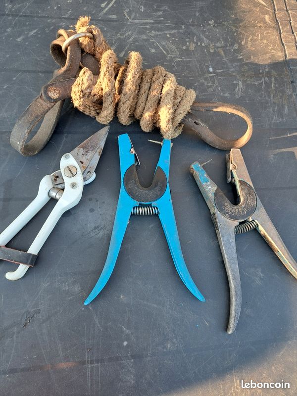 Accessoires ani (image 1)