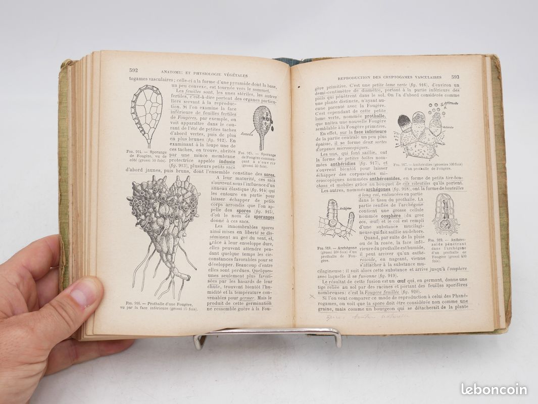 Précis d'Histoire Naturelle (1925) H. COUPIN - G. PERRIN - Anatomie et Physiologie Animales et Végétales / Géologie / Hygiène / Sciences (image 3)