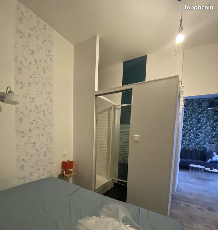 Joli appartement meublè centre ville - Poitiers 86000 (image principale 2)