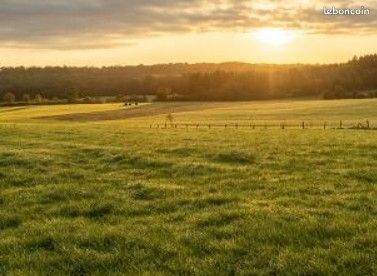 Terrain 306 m² Saint Gereon · à Ancenis-Saint-Géréon · 94 798 €