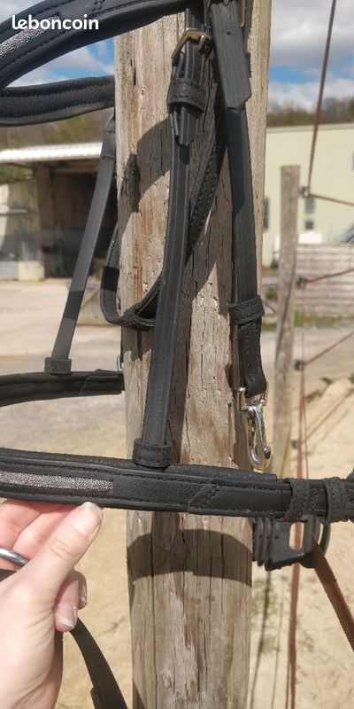 Filet (bridon) taille cheval noir attaches mousquetons (image 5)