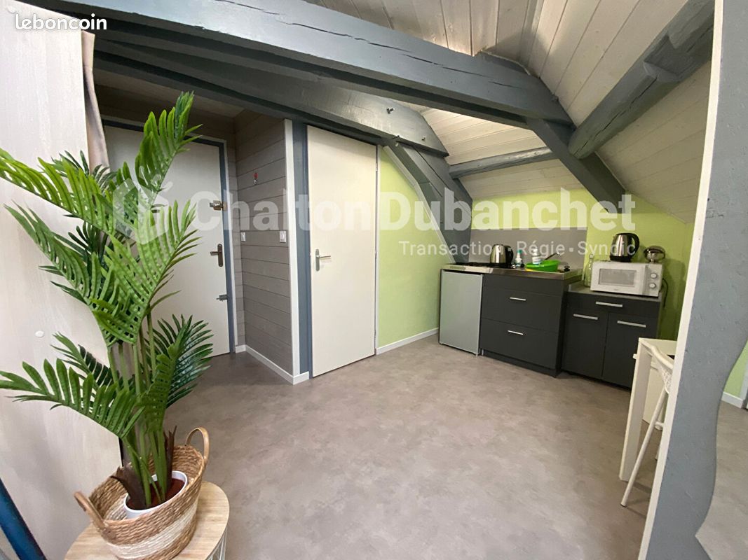 Appartement 1 pièce 18 m² · à Roanne · 18 m² · 400 €