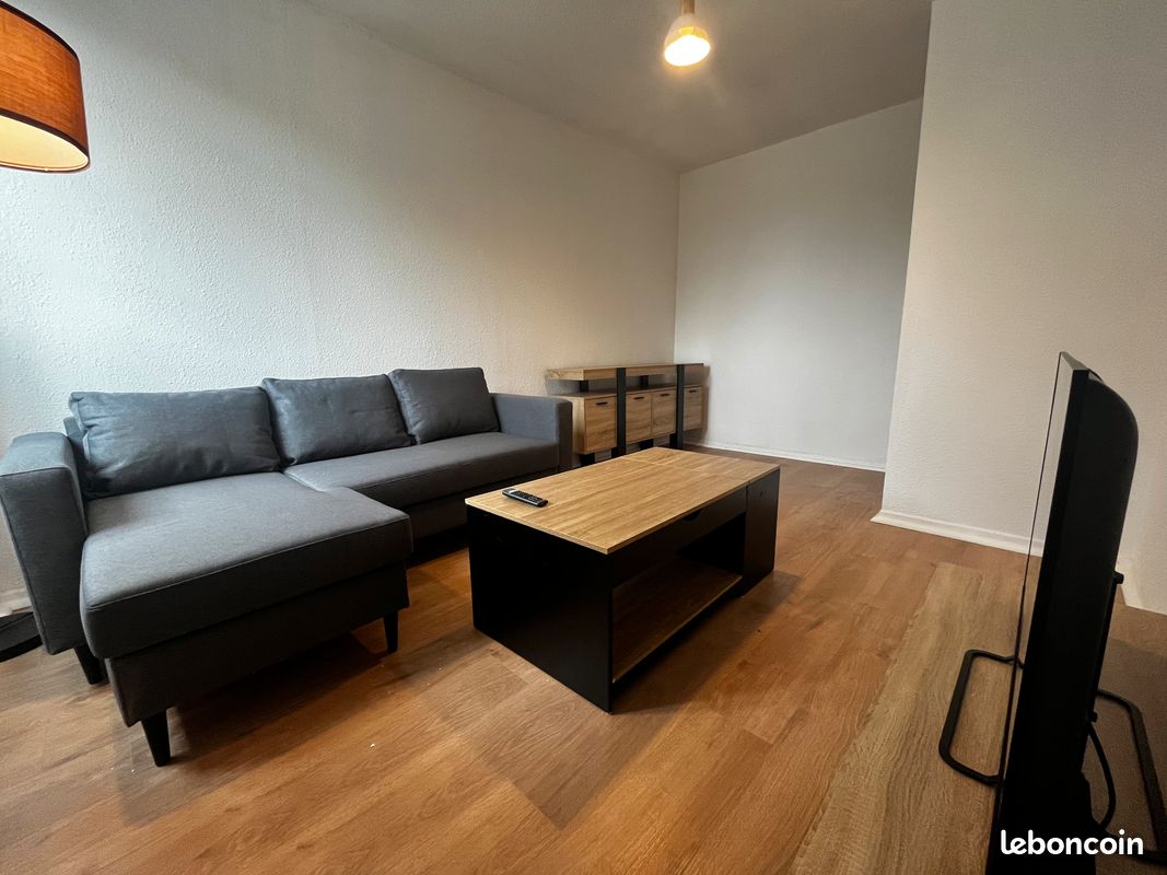 T2 rénové meublé 45 m2 avec terrasse - Vienne 38200 (image 5)