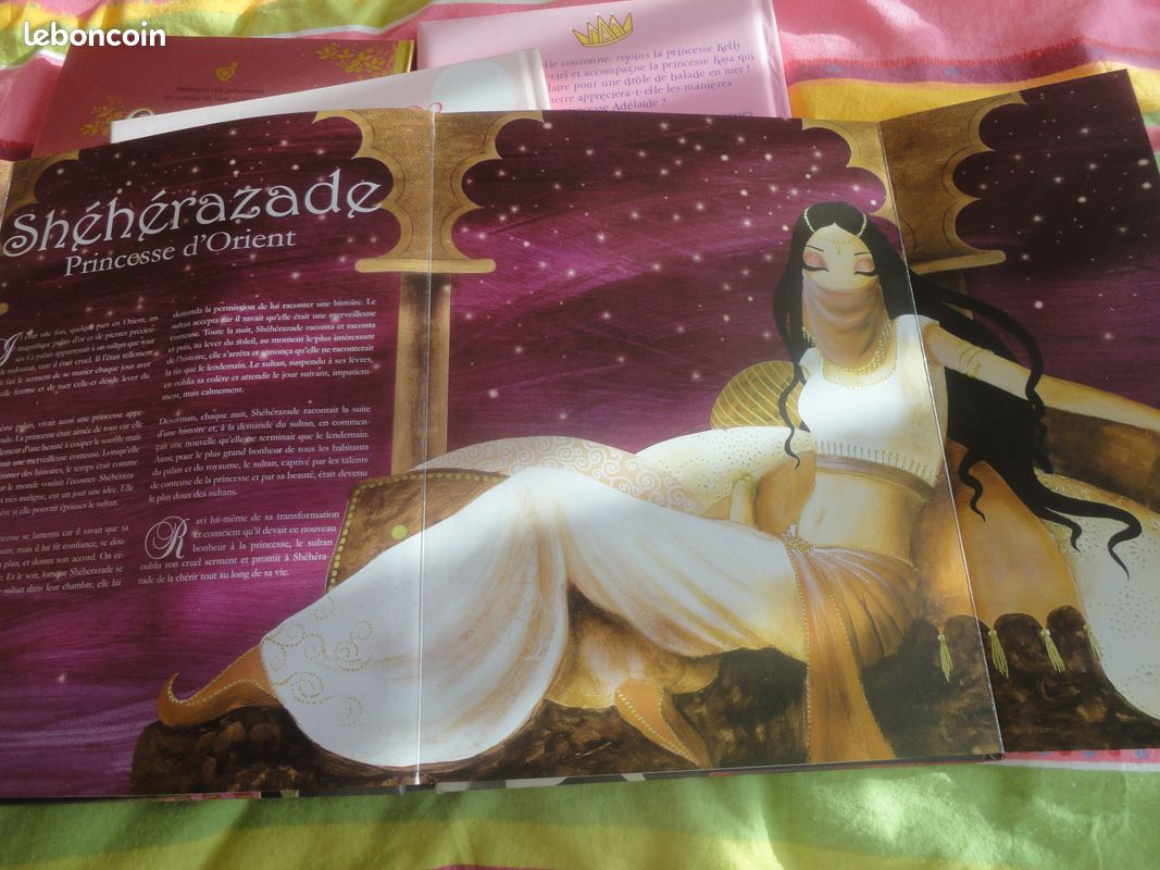 Livre Princesses du Monde (neuf) (image 3)