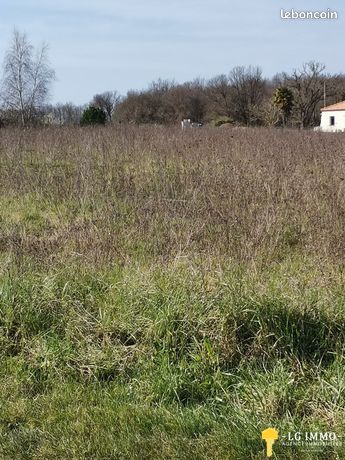 Terrain 1036 m² Bois