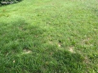Terrain à bâtir de 640 m² à CRACH (56) · 268 000 €