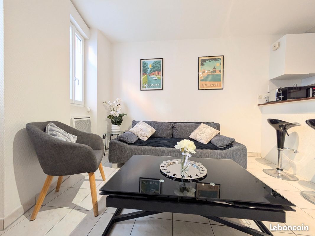 Appartement T2 proche hypercentre (image 1)