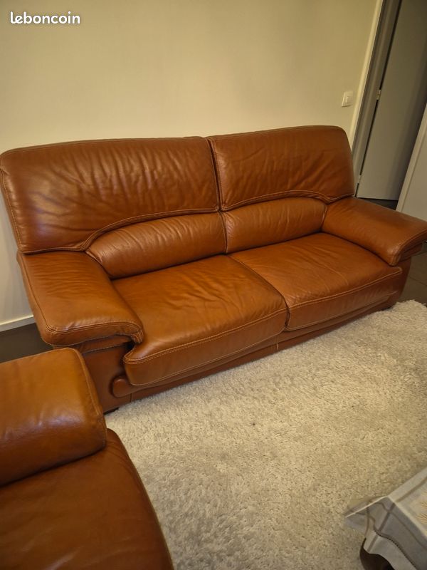 Fauteuils à vendre (image 1)